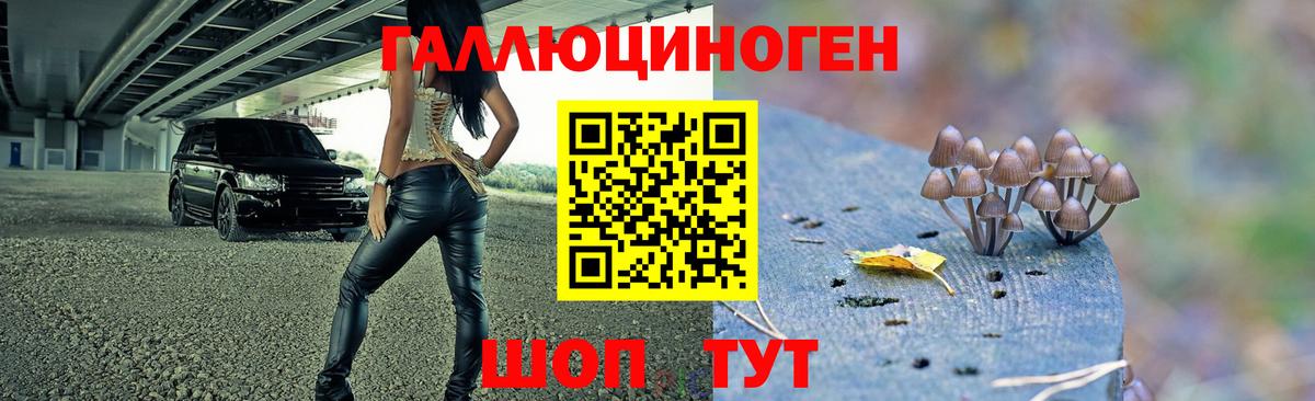 Псилоцибиновые грибы ЛСД  что такое   Черкесск  Псилоцибиновые грибы мицелий  Вход с VPN 